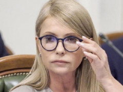 Команда "Батьківщини" відкрила гарячу телефонну лінію для вирішення земельних проблем