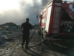 Неподалік від злітної смуги "Борисполя" загорілося сміттєзвалище 