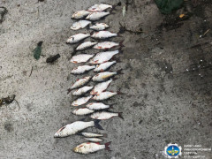У Вишгородському районі спіймали браконьєра: чоловік заплатить чималий штраф