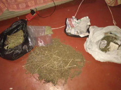 У Кагарлику в раніше судимого чоловіка знайшли канабіс