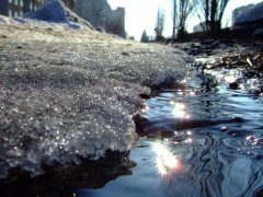 Погода на Київщині та у столиці 21-го лютого