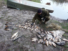 На Київщині за 10 днів браконьєри наловили риби більше ніж на 26 тис грн 