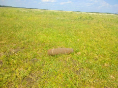  На Київщині виявлено артилерійський снаряд (ФОТО)