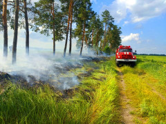 У Бородянському районі пожежею знищено майже гектар трави (ФОТО)