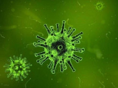 У Київській області за добу 265 людей одужали від коронавірусу