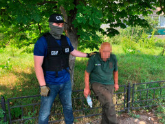 На Київщині посадовець державного підприємства розкрадав деревину лісгоспу 