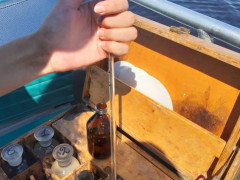 На Київщині погіршилася якість води у річках та водосховищах 