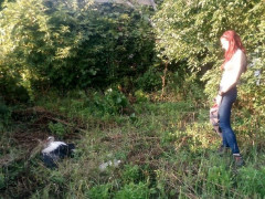 На Обухівщині через лінії електропередач гинуть лелеки 