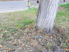 У Фастові біля школи знайшли використаний шприц 