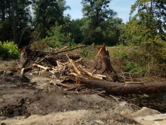 Під Києвом забудовники незаконно зробили дорогу через річку Бучанку до ЖК "Ібіс" (ФОТО)