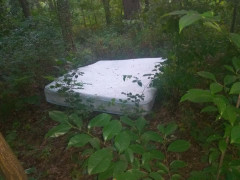 У Боярці невідомі вивезли у ліс матрац 