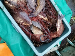 В Обухівському районі спіймали браконьєрів із здобиччю 