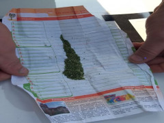 У Києво-Святошинському районі затримали наркомана