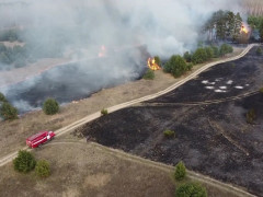 На Переяславщині вогонь знищив 4 га лісу (ФОТО, ВІДЕО)