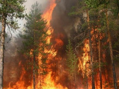 На обстеження згарища в Чорнобильській зоні необхідно тиждень, - Кличко (ВІДЕО)