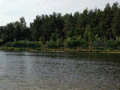 Незаконно привласнені прибережні ділянки на Обухівщині повернуть державі