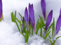 Прогноз погоди для жителів Київщини на 22-ге березня