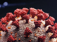 На Київщині за добу COVID-19 інфікувалось більше півтисячі людей
