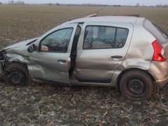 На Київщині через несподіване пошкодження колеса легковик злетів у кювет (ФОТО)