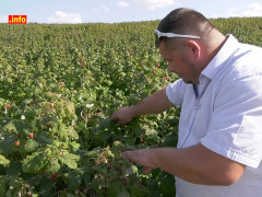 У Тетіївському районі відбувся сімейний день саду