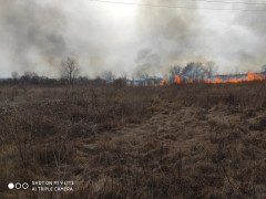 Київщина у вогні: в регіоні знову палають екосистеми