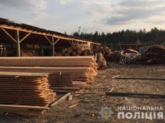 У Вишгородському районі закрили лісопереробне підприємство (ФОТО)