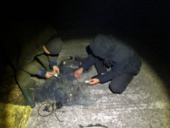 На Київщині за вісім днів браконьєри наловили 170 кг риби 