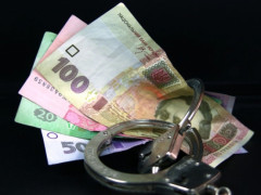 На Київщині головна бухгалтерка ветклініки привласнила понад 130 тис грн бюджетних коштів