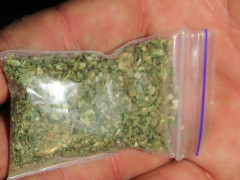 У трьох мешканців Васильківщини знайшли канабіс