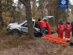 У Вишгородському районі авто влетіло в дерево: є загиблий