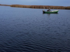 У Вишгородському районі за три дні було викрито 18 браконьєрів 