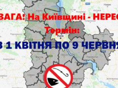 Із 1 квітня на Київщині встановлюють весняно-літню нерестову заборону на вилов риби