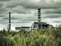 На території Чорнобильського заповідника незабаром з’явиться  музей-садиба