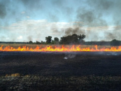 На Обухівщині загорілося поле площею 20 га (ВІДЕО)