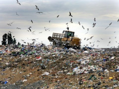 Сміттєвий полігон на Обухівщині готують до закриття