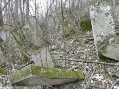 На занедбаному єврейському кладовищі в Таращі випасають птахів (ВІДЕО)
