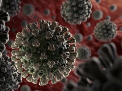 За минулу добу на Київщині ніхто не помер від COVID-19