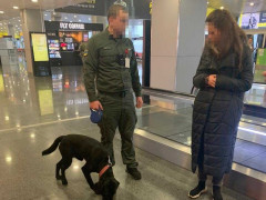 У "Борисполі" українка намагалася провести наркотики за кордон у кросівках 