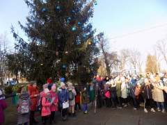 Свято наближається: у Ставищі обікрали головну ялинку селища