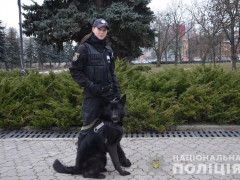 У Білій Церкві чотирилапий поліцейський допоміг розшукати зниклого чоловіка