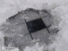 У Броварах рятують рибу від смерті (ФОТО)