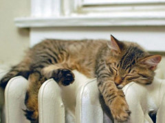 У Фастівській громаді розпочинається опалювальний сезон