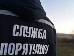 На Рокитнянщині рятувальники допомогли медикам врятувати бабусю