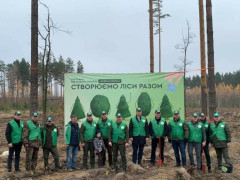 У Тетерівському лісгоспі за день було висаджено понад 10 тисяч дерев
