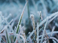Прогноз погоди для жителів Київщини на 22-те грудня