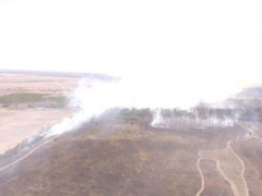 Поліція  притягне до відповідальності винуватців пожежі в Чорнобильській зоні