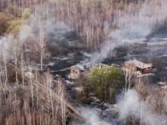 Рятувальники продовжують гасити тліючу деревину в Чорнобильській зоні