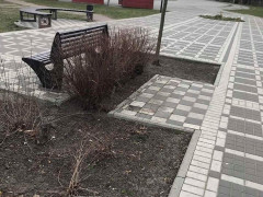 У Боярці невідомі з парку забрали лавку на "реставрацію"