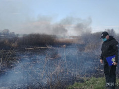 У Тетієві оштрафували жінку, яка підпалила очерет