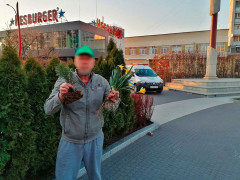 В Ірпені чоловік викопав тую, щоб подарувати її дружині 